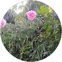 Khansa Ejaz profile picture